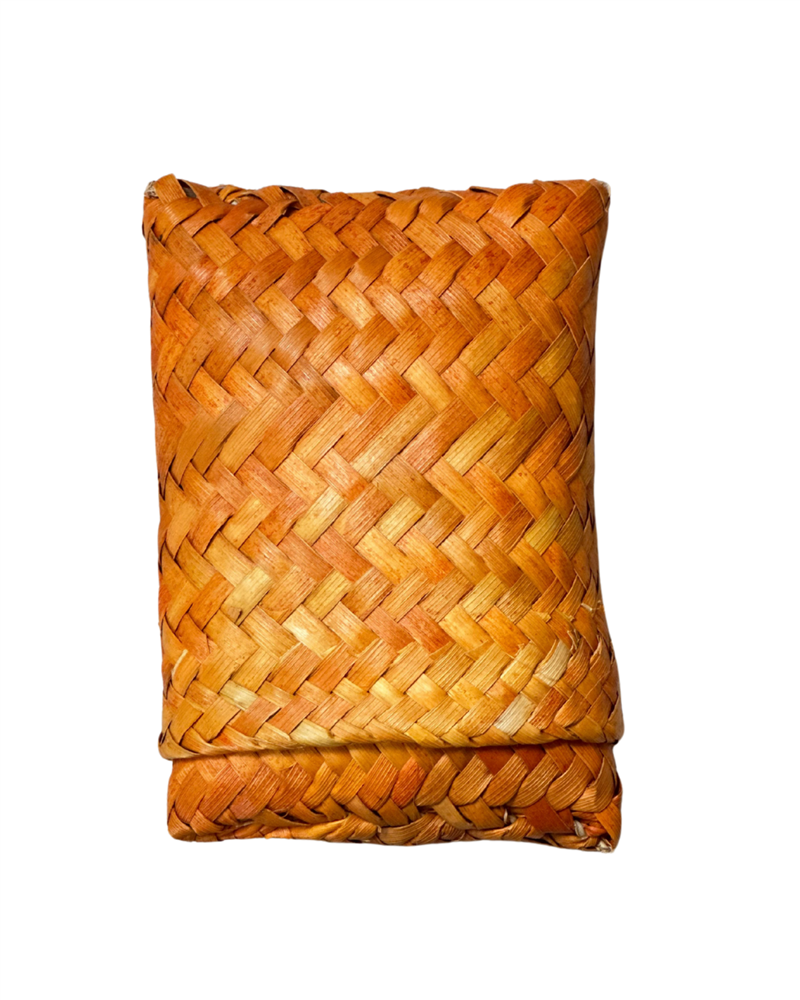 BOLSA DINHEIRO LARANJA II